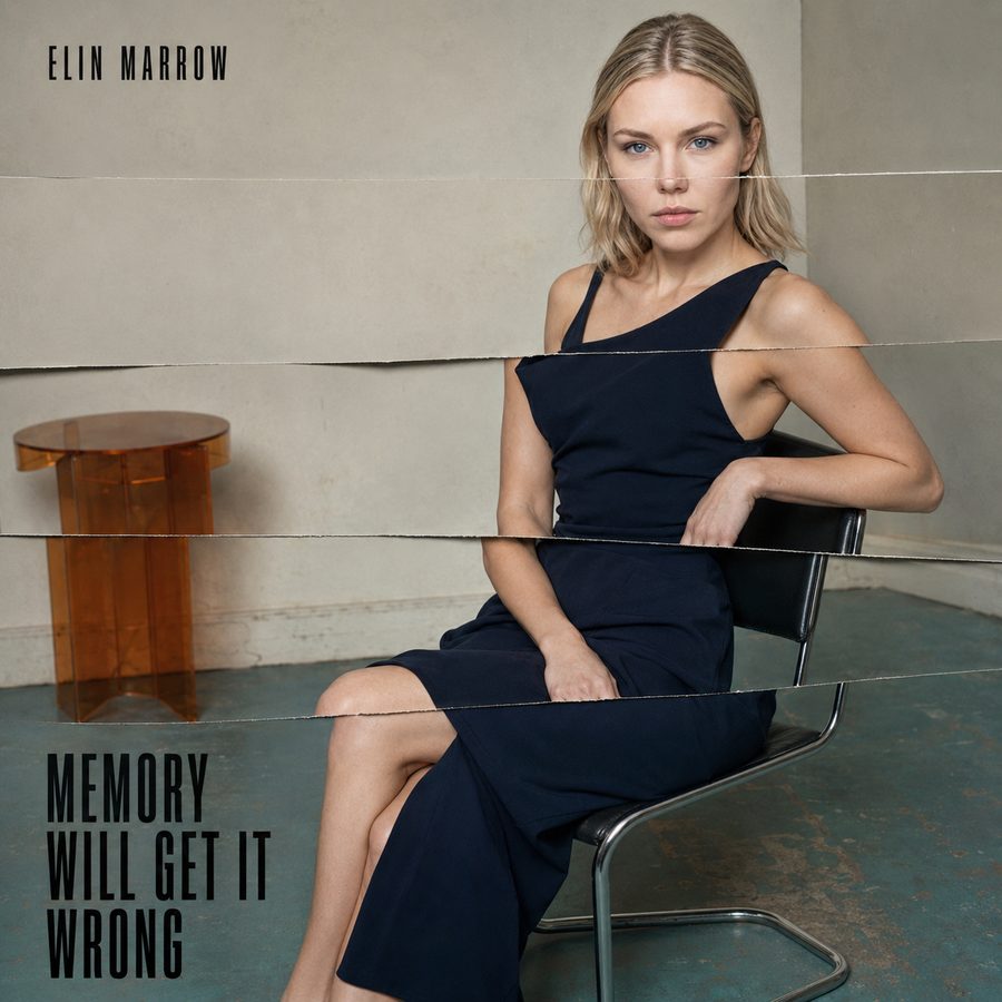 Memory Will Get It Wrong cover